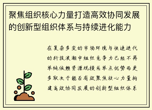 聚焦组织核心力量打造高效协同发展的创新型组织体系与持续进化能力
